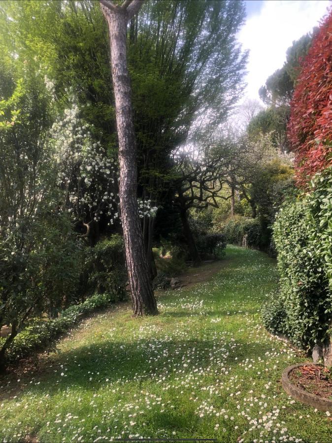 Il Pioppo Antico Apartment Viggiu Luaran gambar