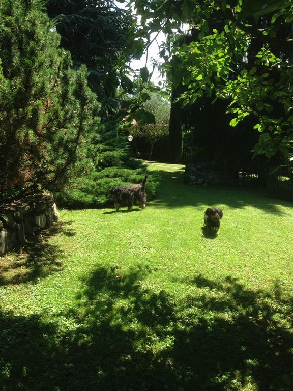 Il Pioppo Antico Apartment Viggiu Luaran gambar