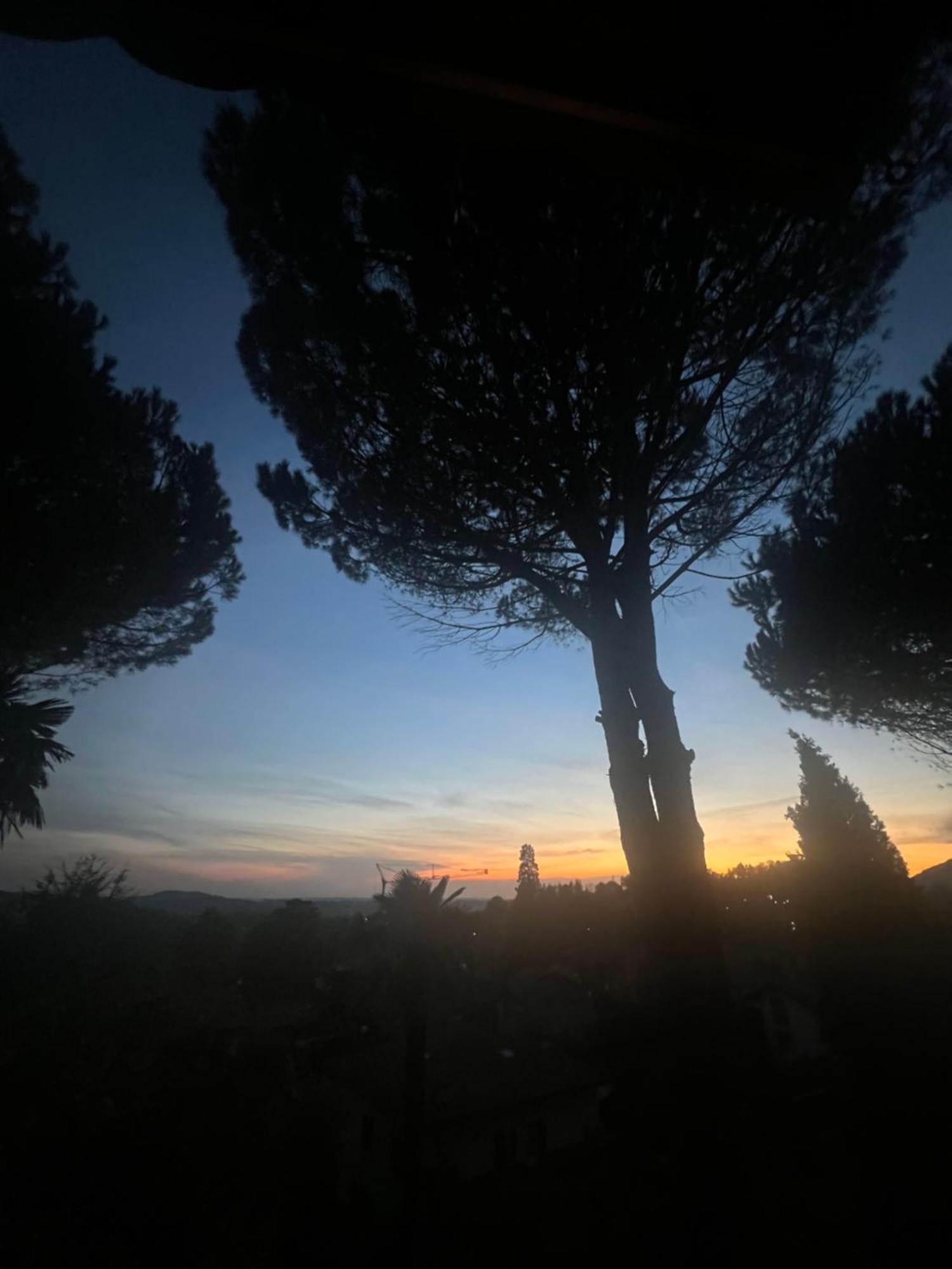 Il Pioppo Antico Apartment Viggiu Luaran gambar