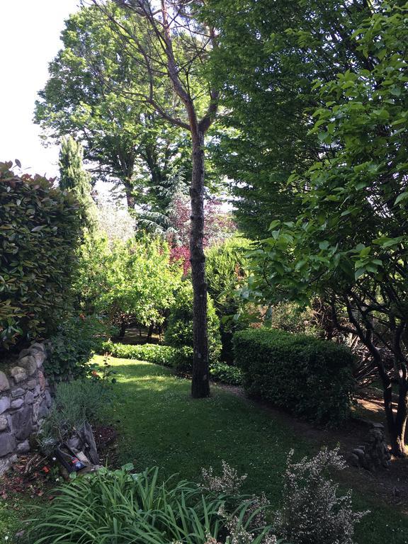 Il Pioppo Antico Apartment Viggiu Luaran gambar